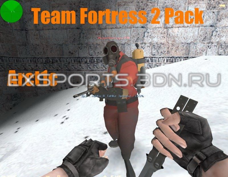 Team Fortress 2 (TER)